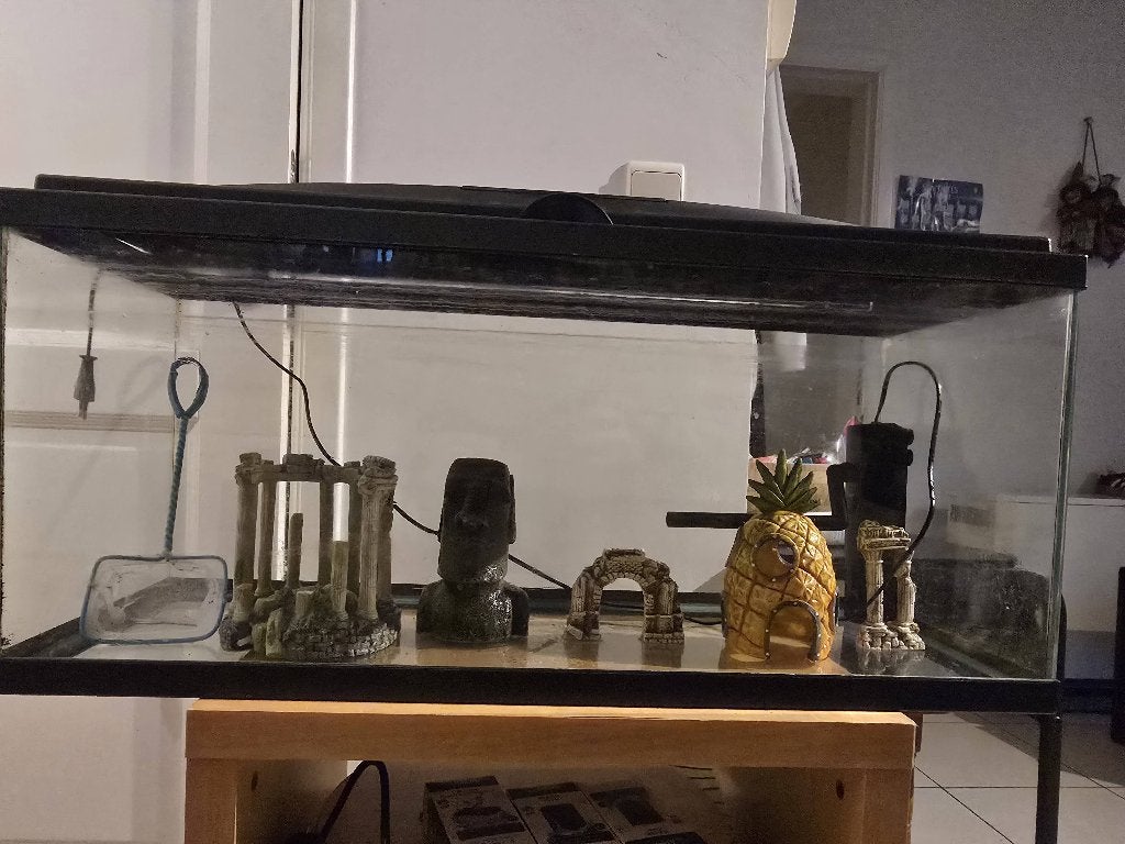 Aquarium 75L, Dieren en Toebehoren, Ophalen, Inclusief deksel, Zo goed als nieuw, Leeg aquarium
