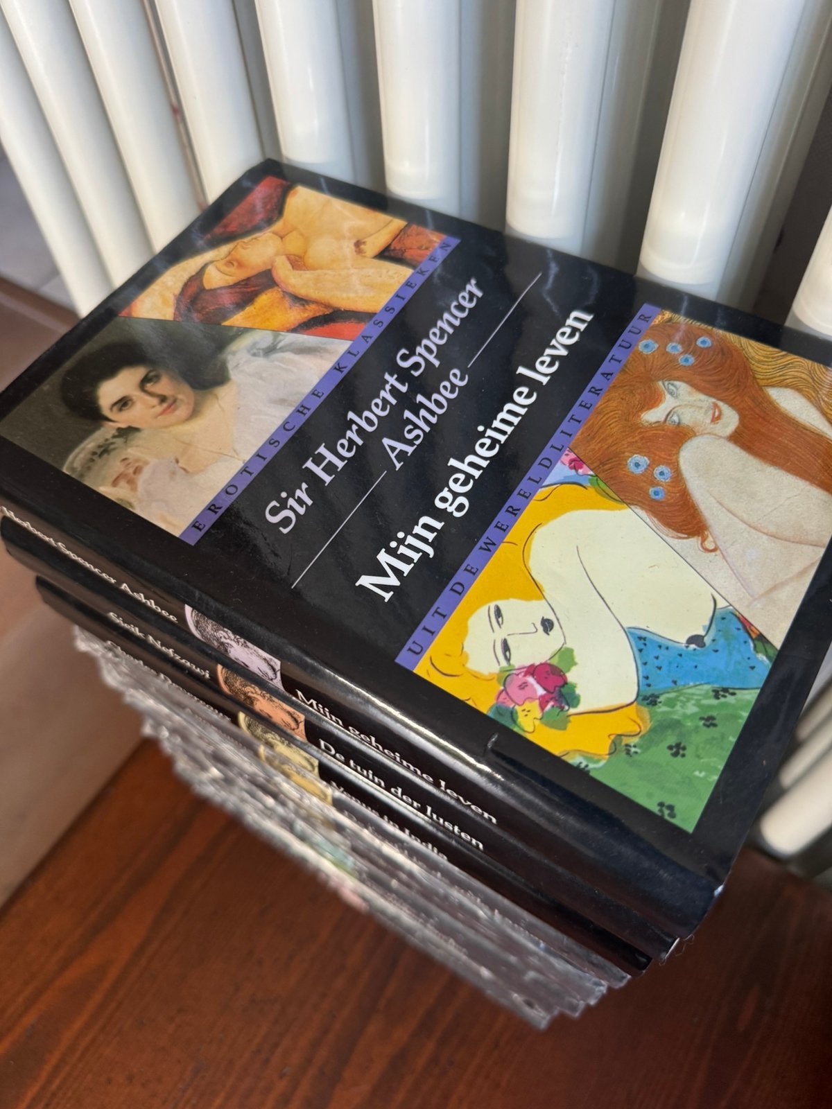 Erotische Klassieken uit de Wereldliteratuur, Boeken, Ophalen of Verzenden, Zo goed als nieuw