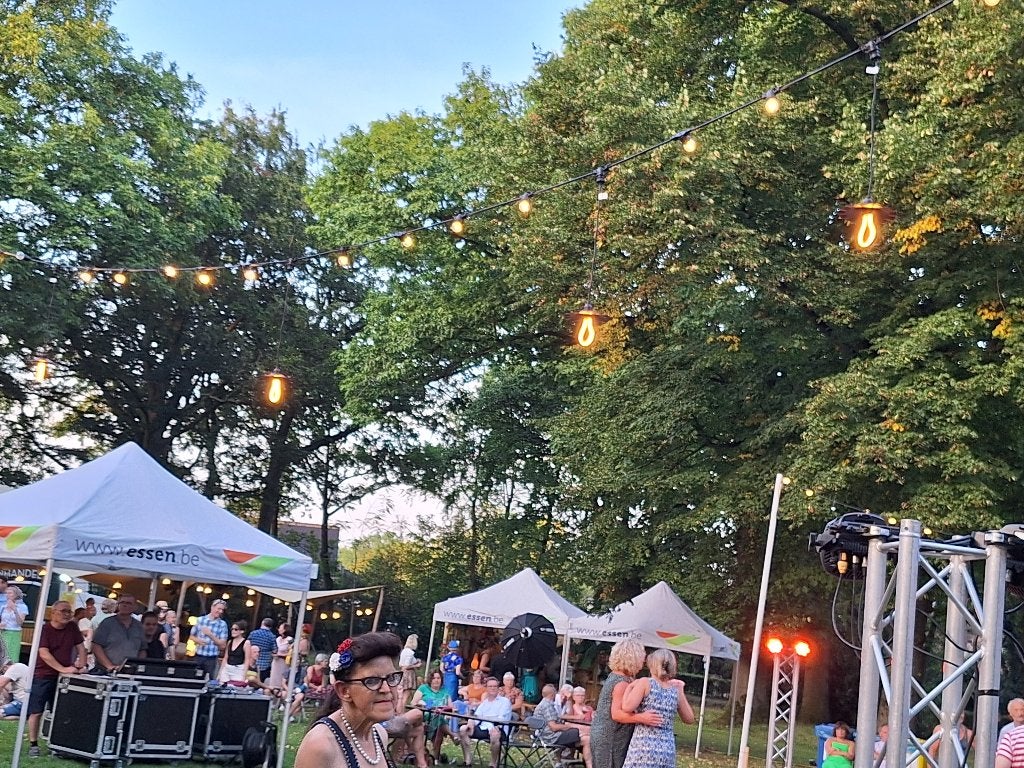 guirlande prikfit verlichting, Ophalen of Verzenden, Zo goed als nieuw, Feestartikel
