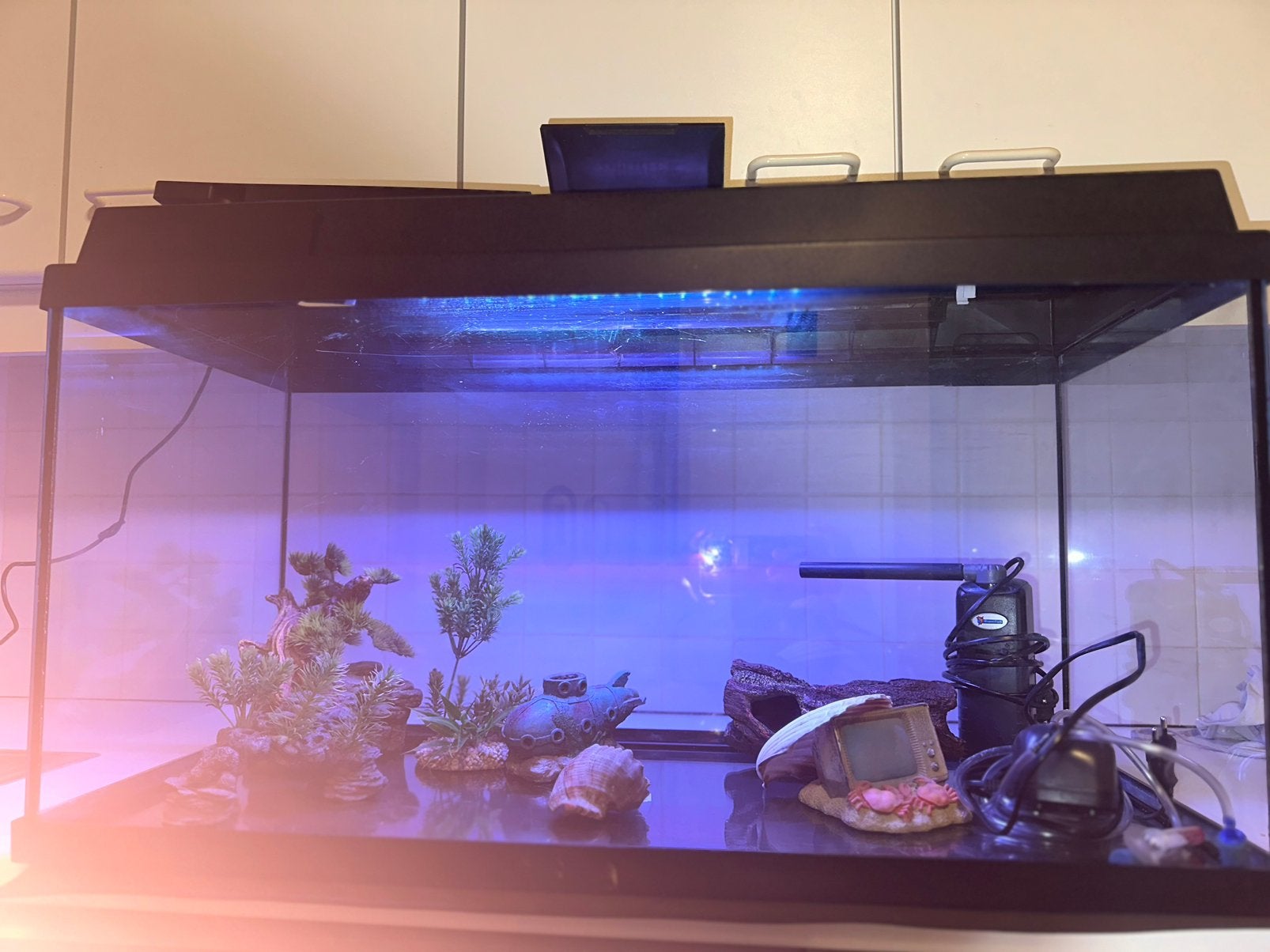 Juwel Aquarium 80cm compleet met LED, filter & alle decorati, Decoratie, Pompe, Comme neuf, Enlèvement