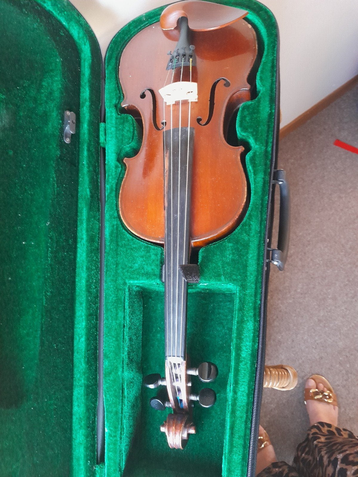 Franse viool 4/4, Musique & Instruments, Instruments à cordes frottées | Violons & Altos, Enlèvement ou Envoi, Violon