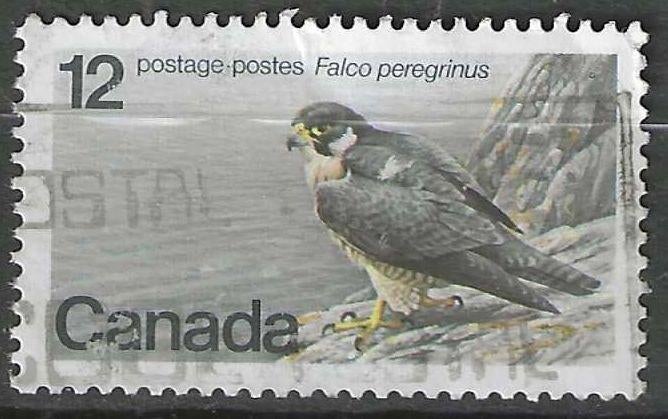 Canada 1977 - Yvert 654 - De Slechtvalk - 12 c. (ST), Verzenden, Gestempeld