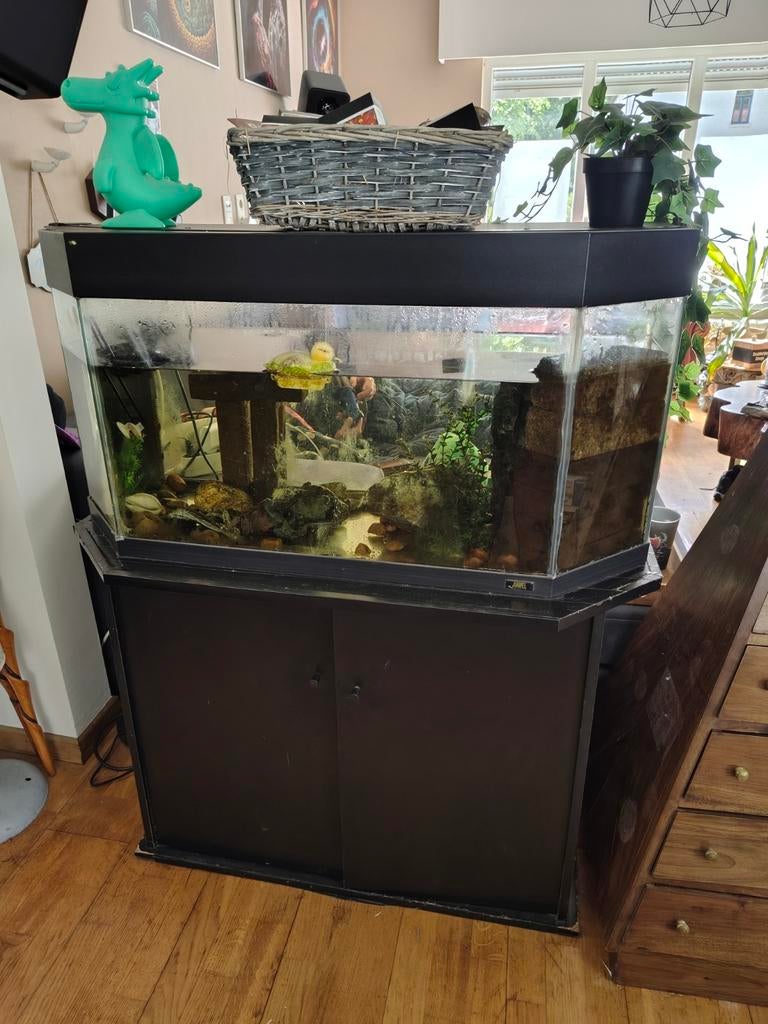 Aquariums, Dieren en Toebehoren, Ophalen, Filter