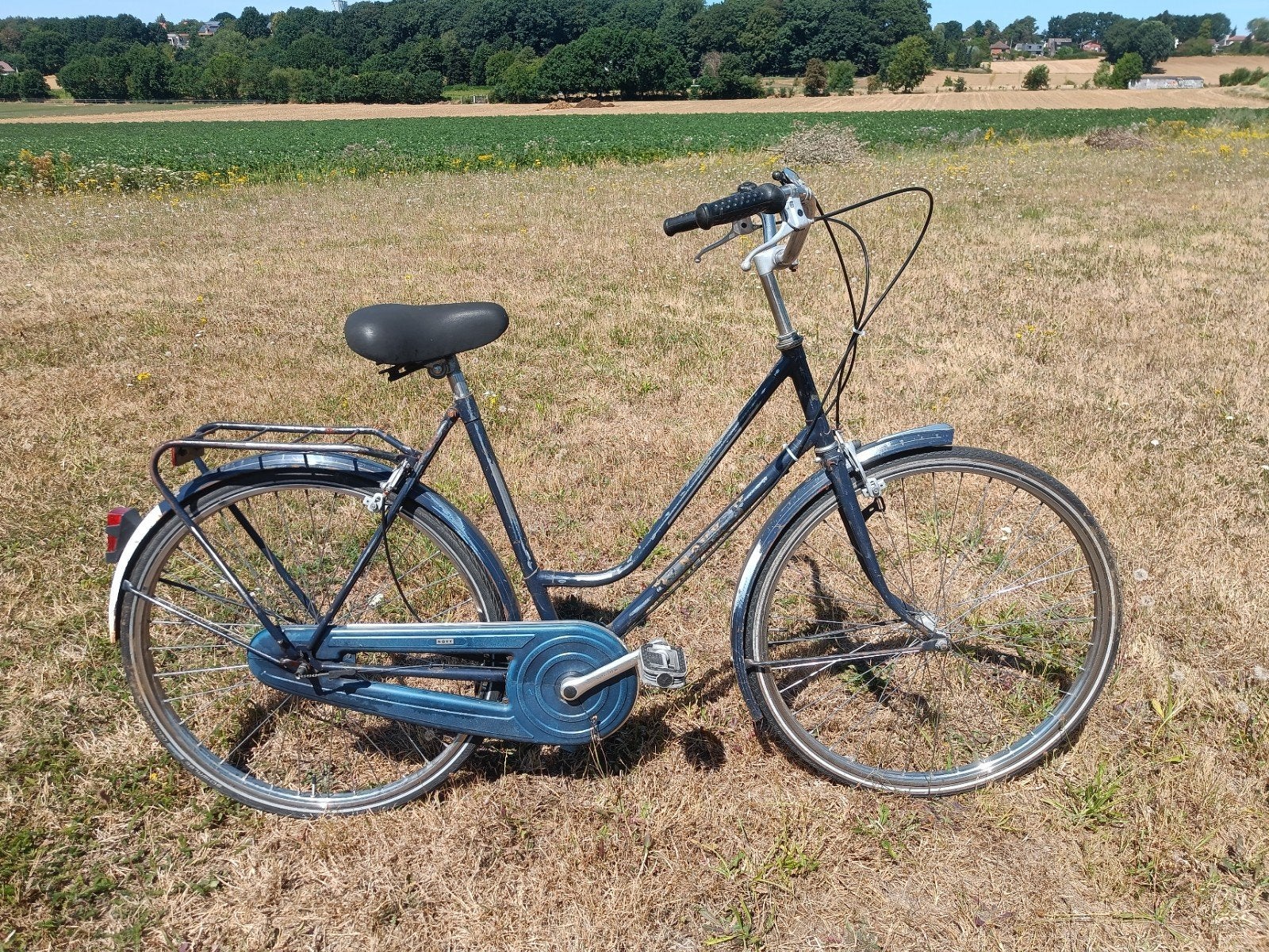 fiets damesfiets studentenfiets, Vitesses, Frein sur jante, Enlèvement, Utilisé