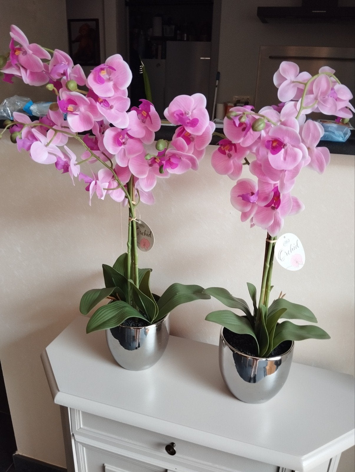 2 nieuwe orchideeën, Ophalen