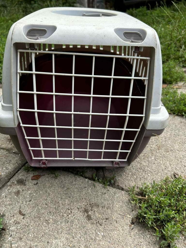 panier pour chat, Enlèvement ou Envoi, Utilisé