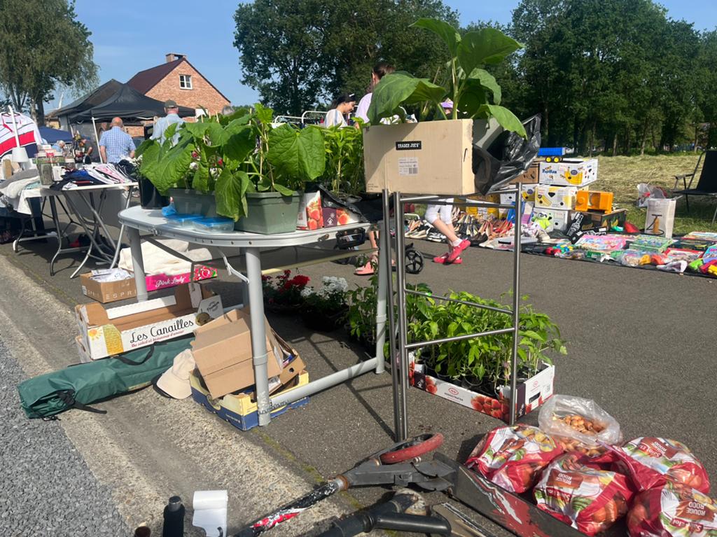 Allerlij soorten groente op rommelmarkt tervant!, Ophalen