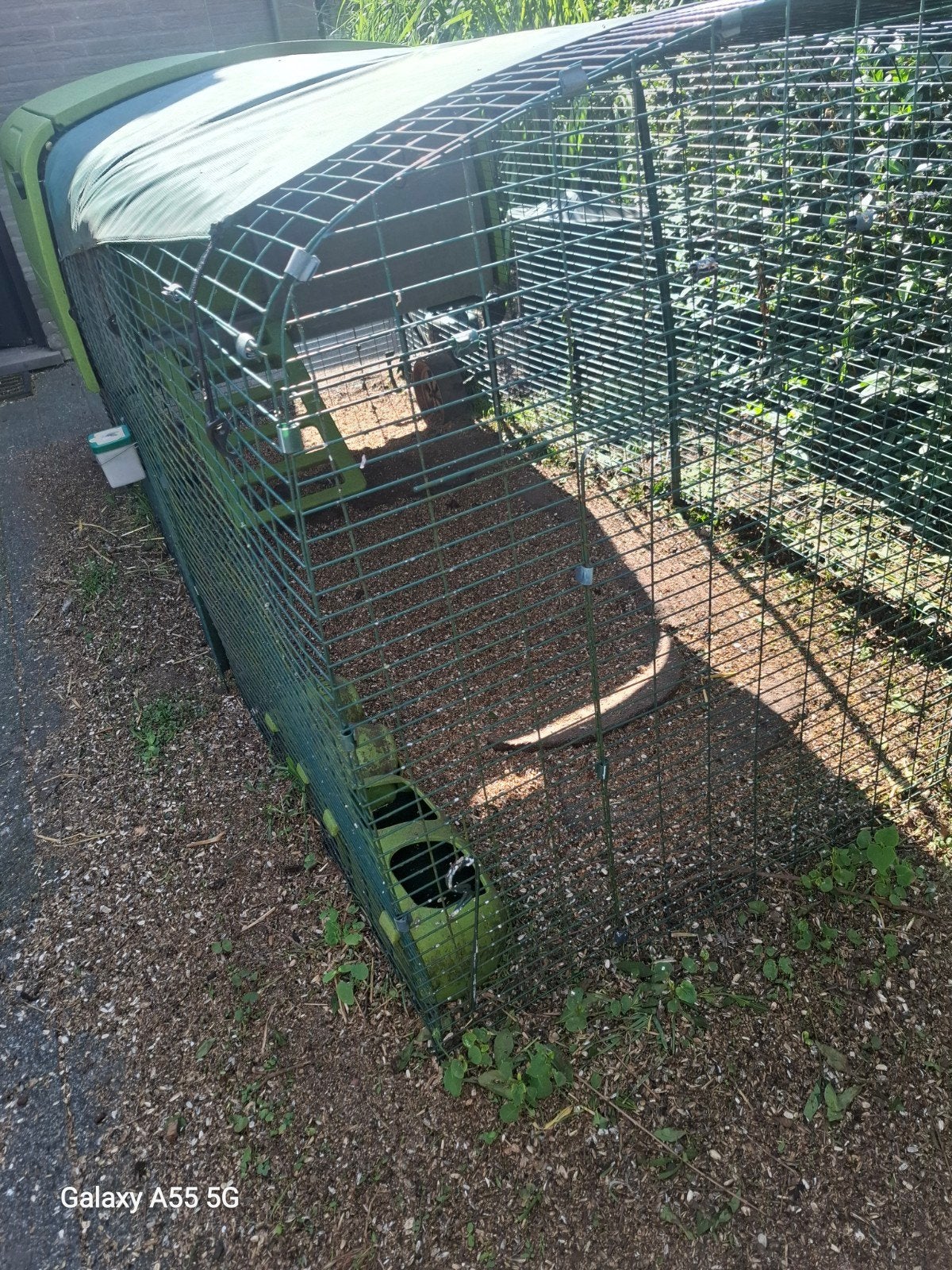 Omlet eglu Cube kippenhok, Dieren en Toebehoren, Ophalen