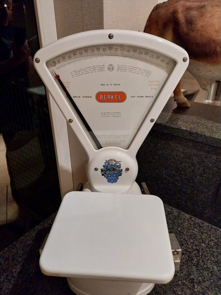 Berkel, Enlèvement