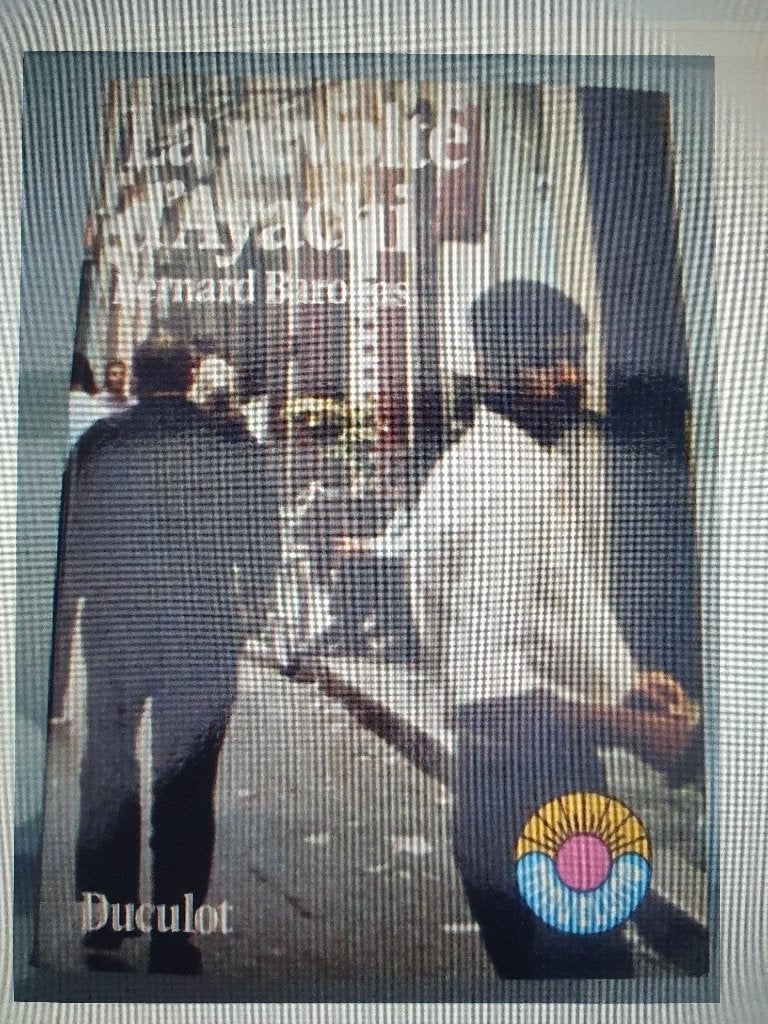 Franse roman : La révolte d'Ayachi van Bernard Barokas, Ophalen of Verzenden, Gelezen, Bernard Barokas
