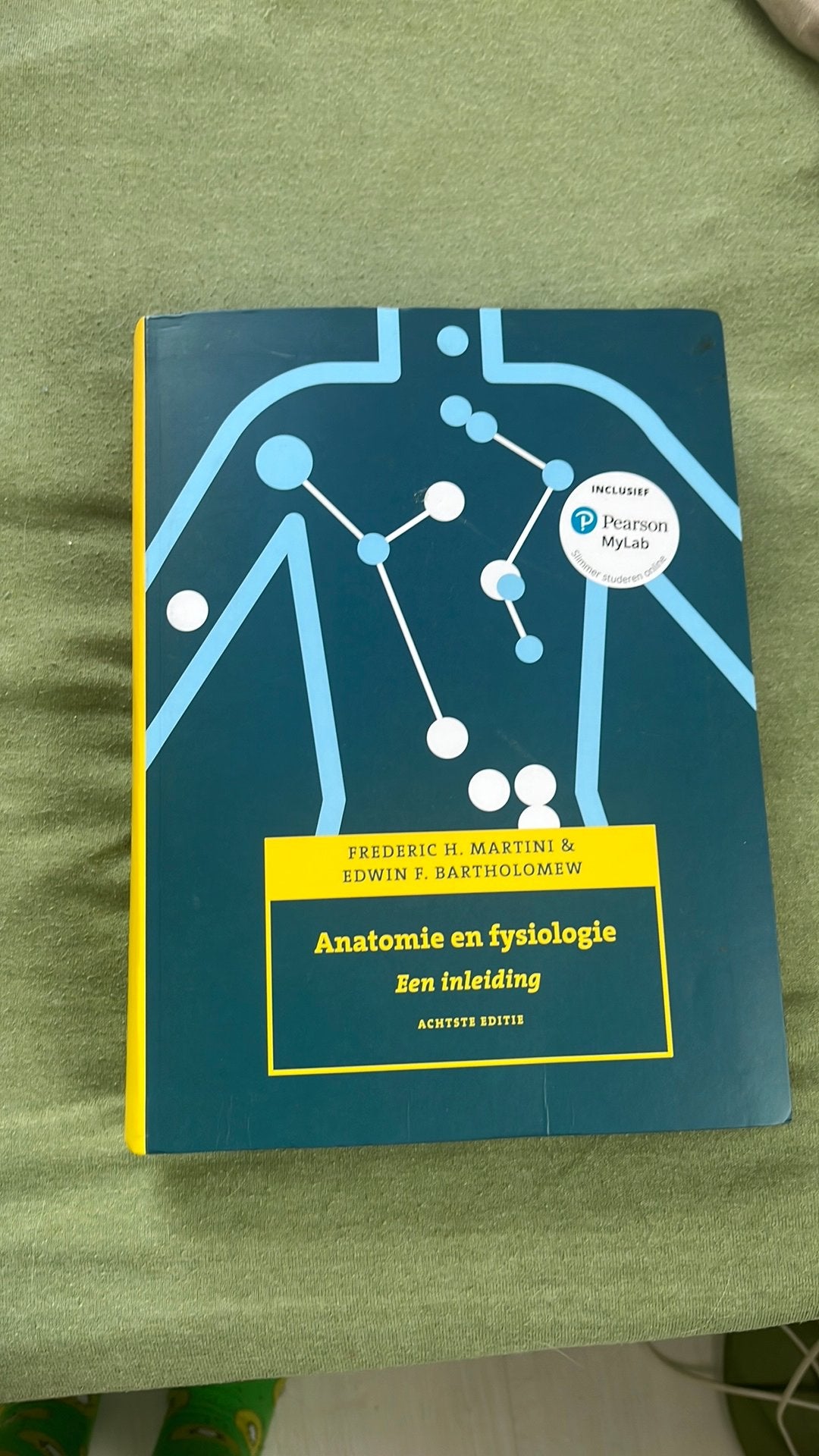 Anatomie en fysiologie, 8e editie met MyLab NL, Boeken, Ophalen of Verzenden, Nederlands, Frederic H. Martini; Edwin F. Bartholomew