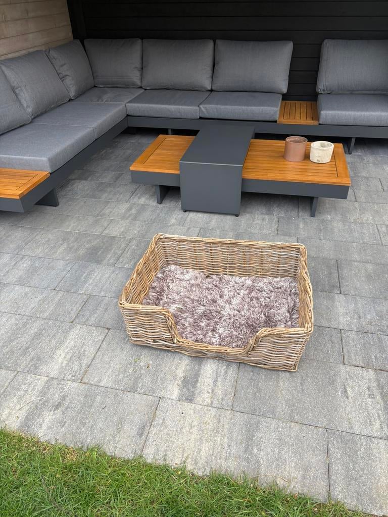Mooi geweven rieten honden mandje, Ophalen, Gebruikt