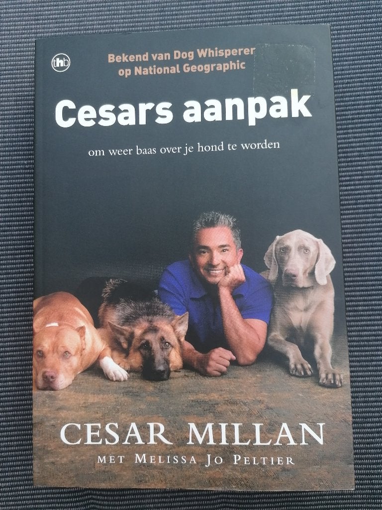 Cesars aanpak (9789044331202), Neuf, Chiens, Enlèvement, Cesar Milan