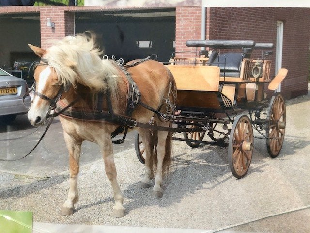 Recreatie-/menkoets  enkel- en tweespan – uitstekende staat, Comme neuf, Wagonette, Cheval