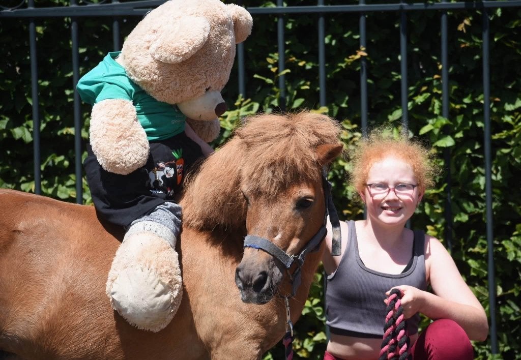 Prachtige Shetlanderruin met gouden hartje, Dieren en Toebehoren, Pony's, Ruin, A pony (tot 1.17m), 11 jaar of ouder, Recreatiepony