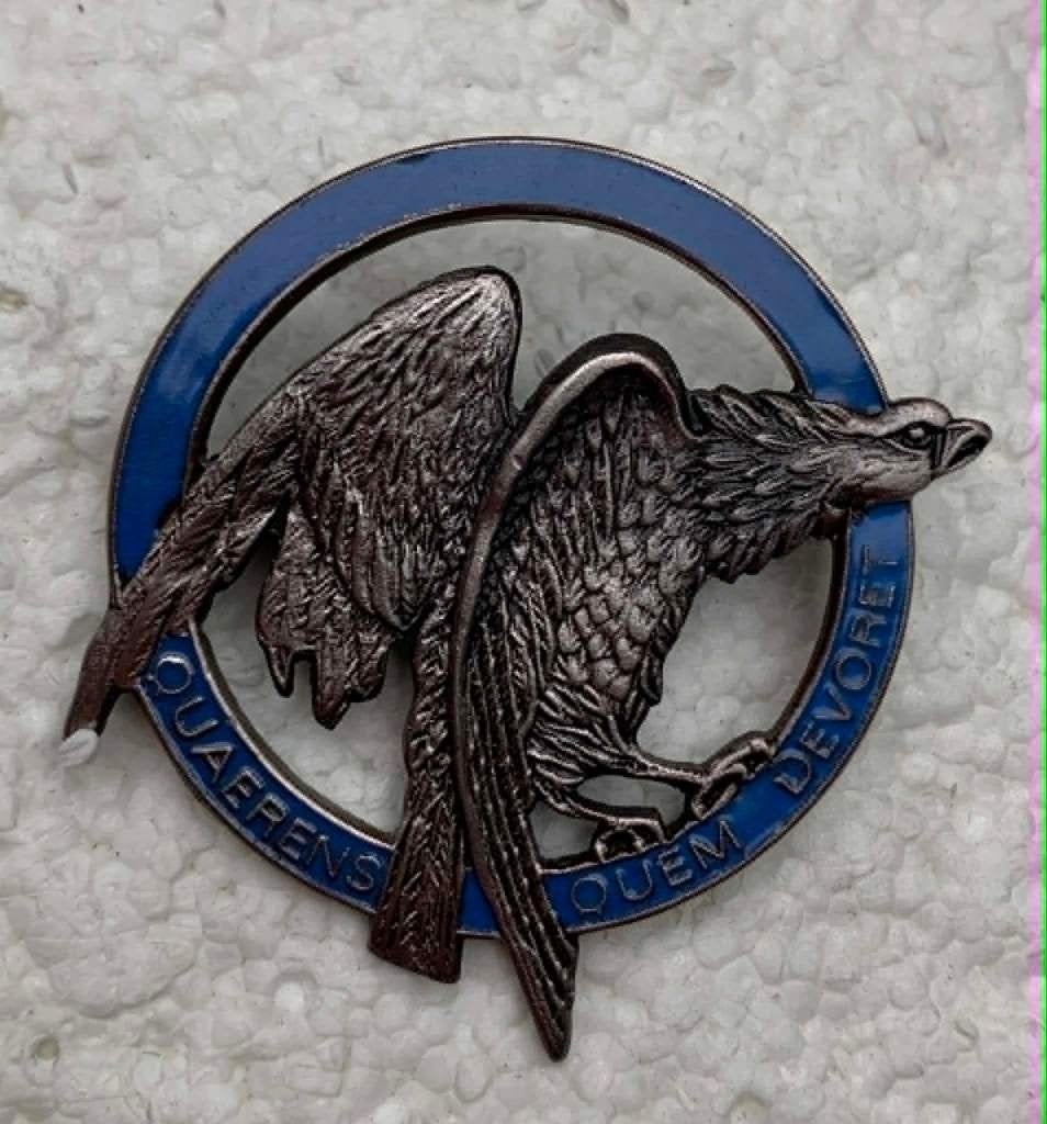 Borsthanger, De witte adelaar (Donkerblauwe Cirkel) Luchtmt, Enlèvement ou Envoi, Armée de l'air, Emblème ou Badge