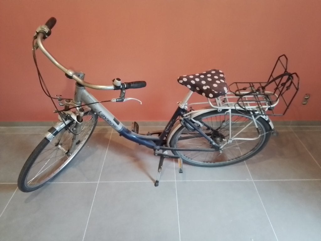 Damesfiets L'Avenir, Ophalen, Gebruikt, Velgrem, Versnellingen