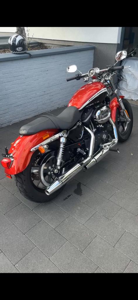 Harley Davidson custom 1200, Motos, Motos | Harley-Davidson, Particulier, Chopper, Enlèvement