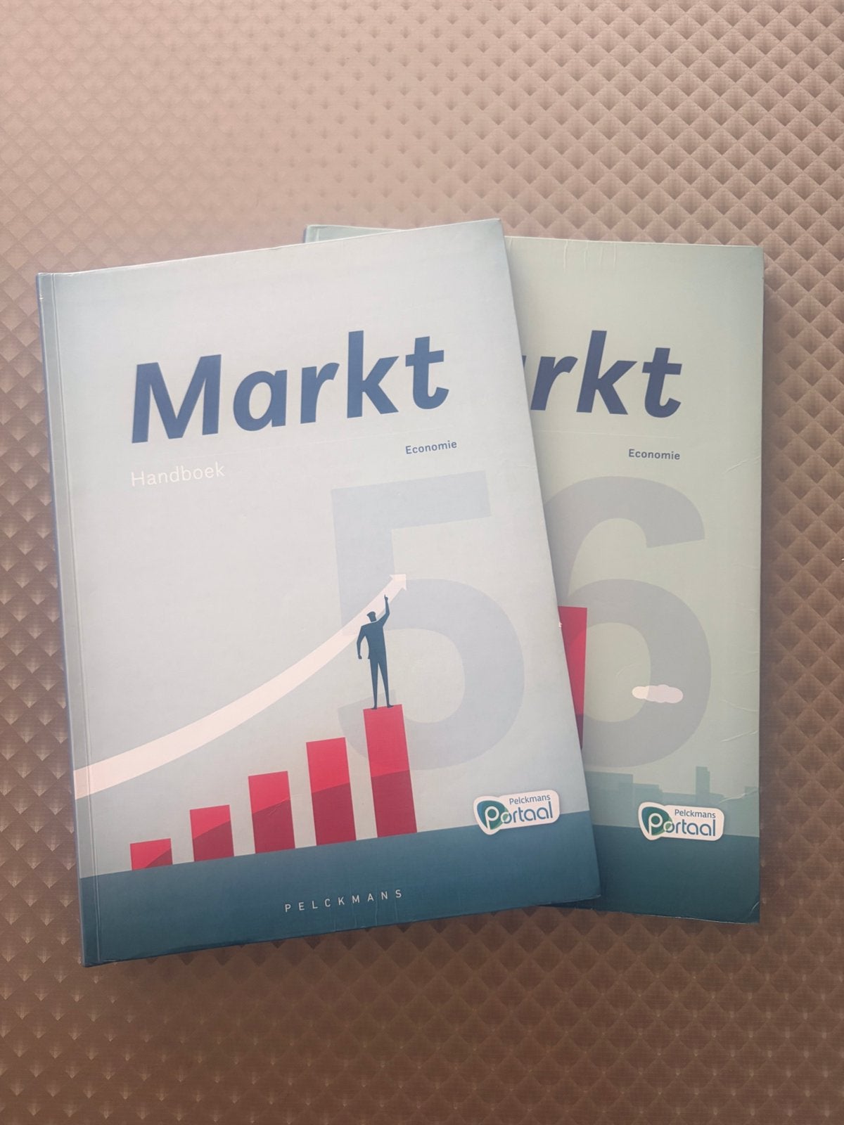Economie 5e en 6e jaar middelbaar, Ophalen of Verzenden, Zo goed als nieuw, ASO, Economie