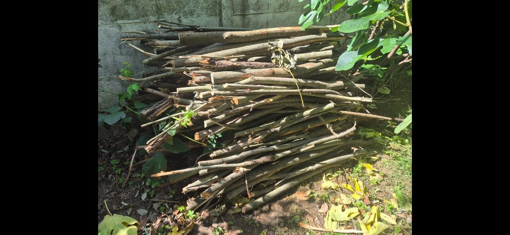 Bois GRATUIT, 3 à 6 m³, Enlèvement, Autres essences de bois, Troncs d'arbres