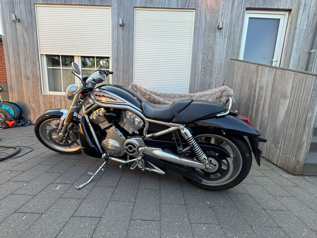 harley davidson v-rod, Motoren, 2 cilinders, Occasion, 1130 cc, Particulier