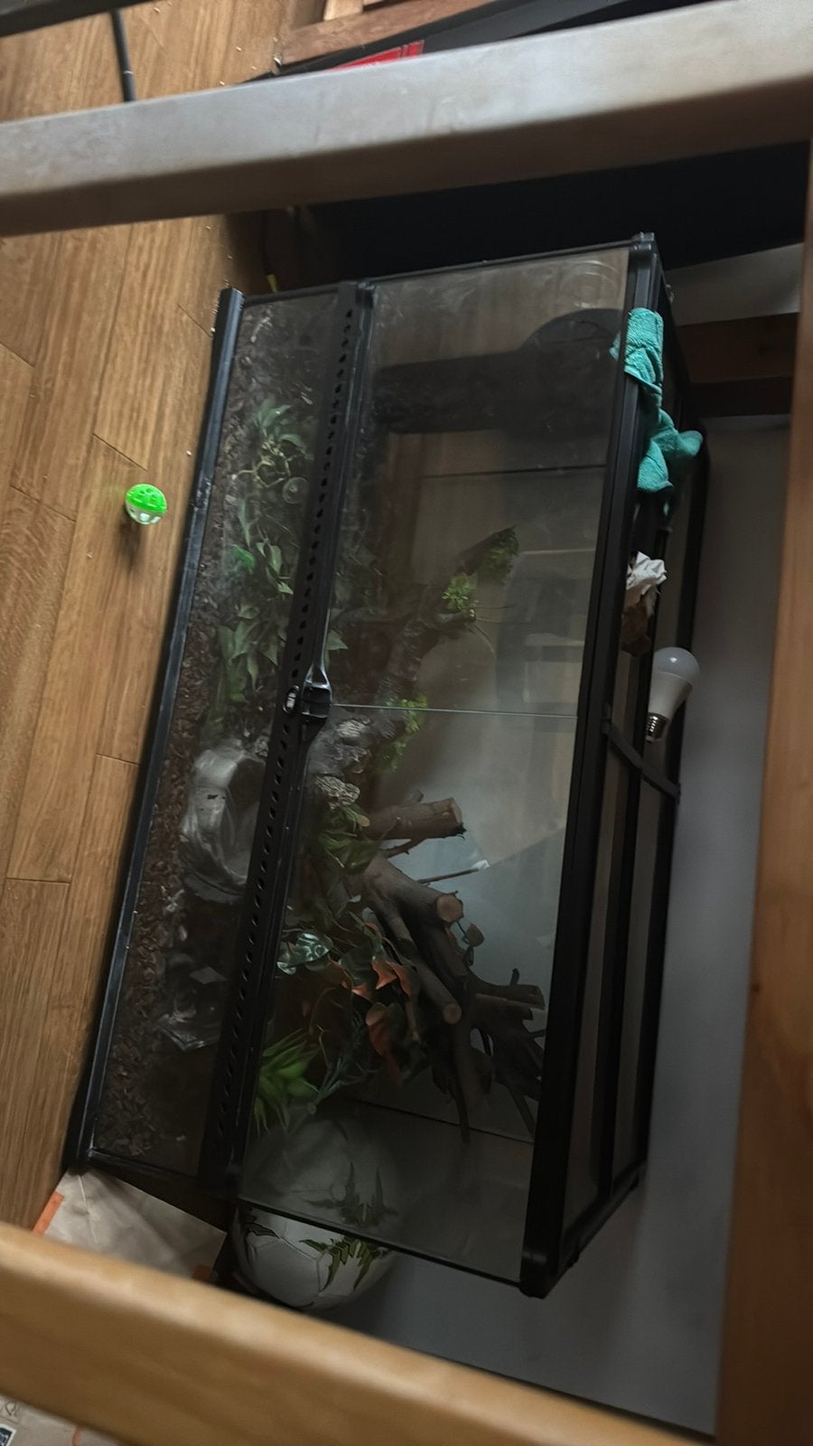 Terrarium bak, Ophalen, Gebruikt, Terrarium of Paludarium