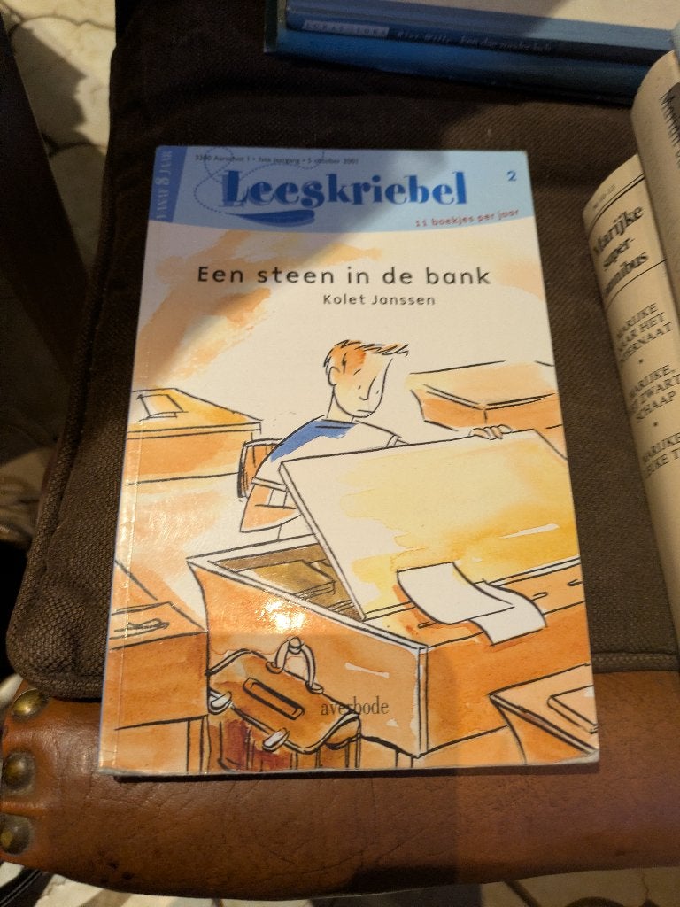 Een steen in de bank, Livres, Enlèvement ou Envoi, Comme neuf, Fiction