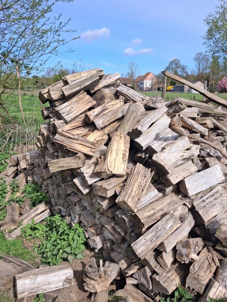 Brandhout, Tuin en Terras, Brandhout, Ophalen