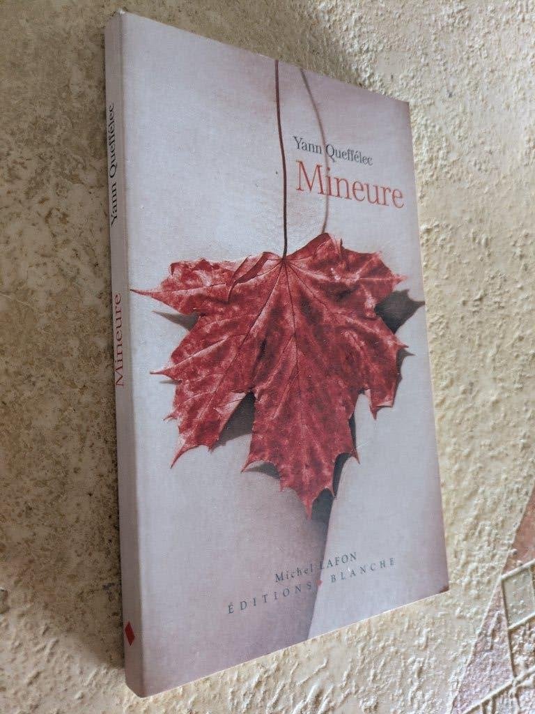 Mineure (Yann Queffélec)., Boeken, Romans, Gelezen, Europa overig, Verzenden, Yann Queffélec.