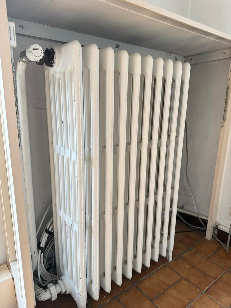 Radiateur en fonte annee 50, Ophalen, Zo goed als nieuw, Radiator