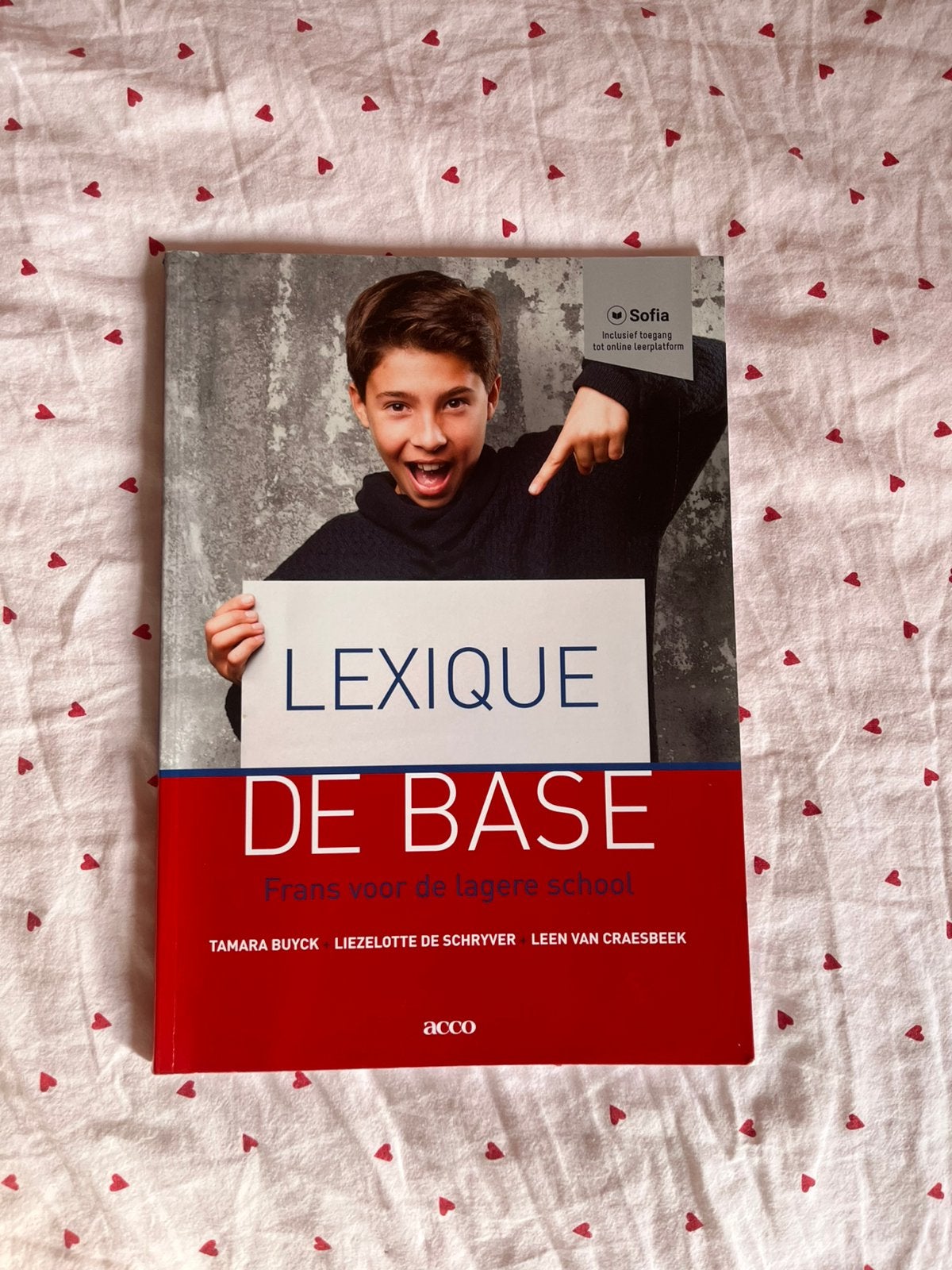 Lexique de base Frans voor de lagere school, Boeken, Ophalen, Zo goed als nieuw