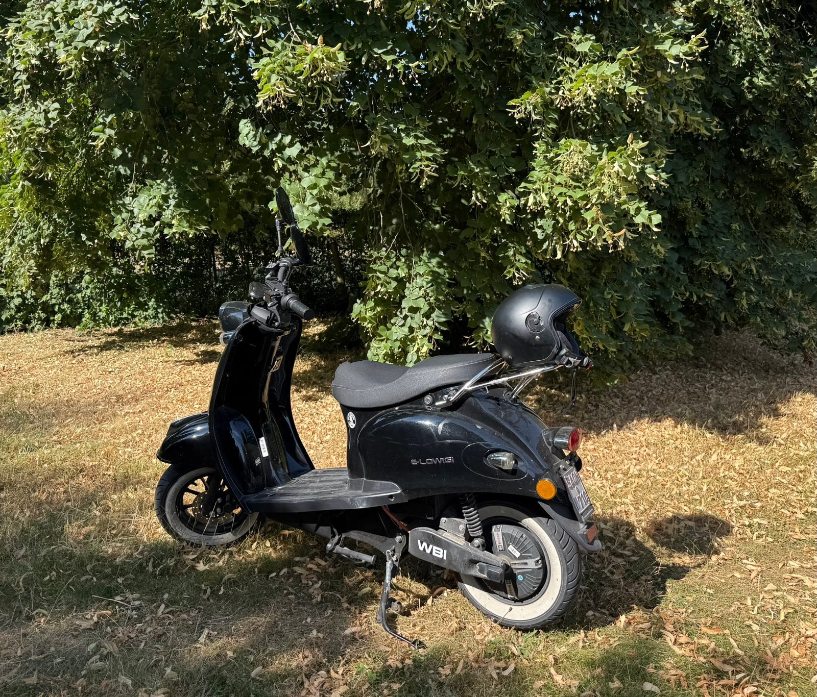 E-Lowigi Elektrische Scooter A Klasse !, Autres modèles, Comme neuf, Enlèvement, Classe A (25 km/h)