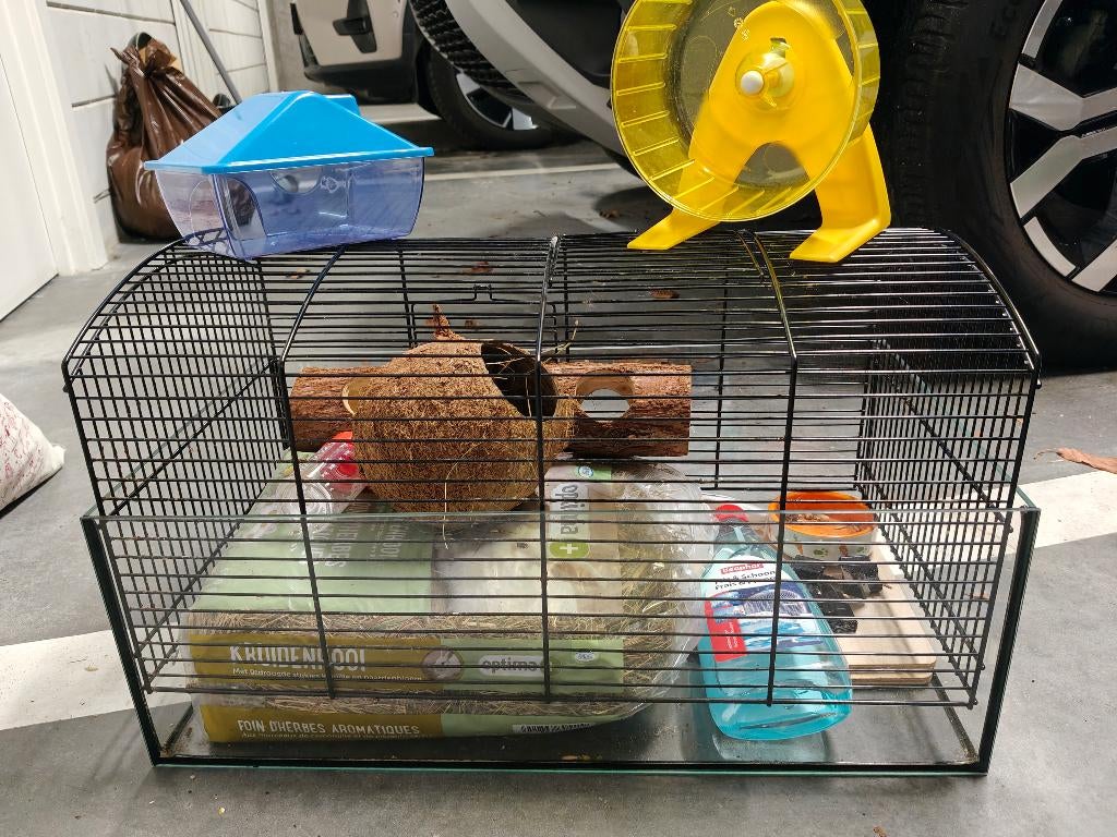 Hamster/Mouse cage with equipment, Souris, Moins de 60 cm, Cage, Utilisé