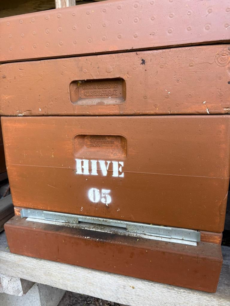 Bijenvolkeren, Dieren en Toebehoren, Januari, Geslacht onbekend