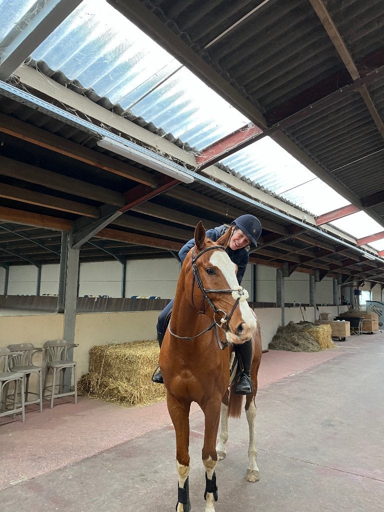 Zadelmak & training, Dieren en Toebehoren, Zadelmak