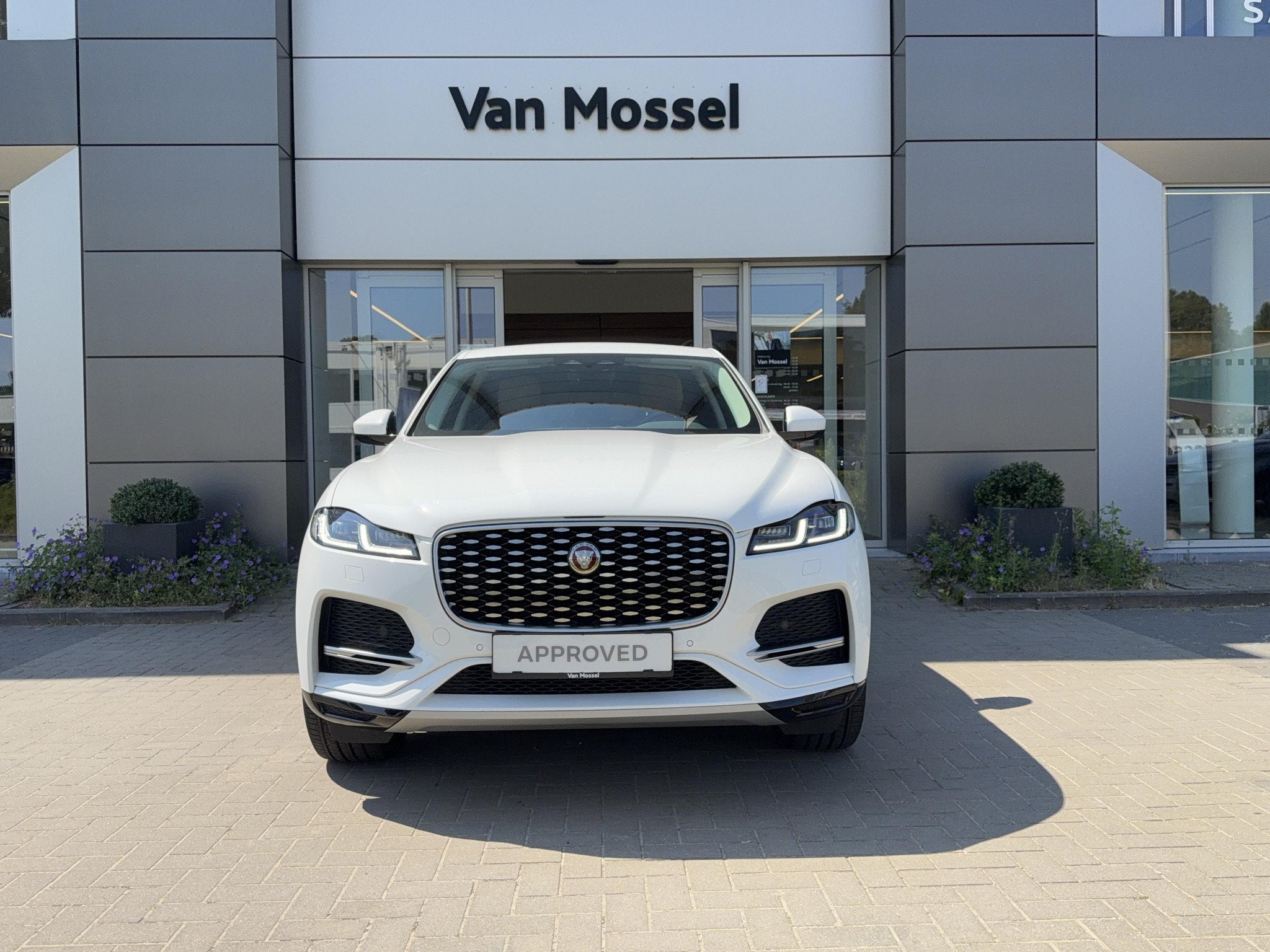 Jaguar F-Pace P250 SE AWD Auto. 22MY (automatique), Euro 6, Entreprise, 5 portes, Automatique