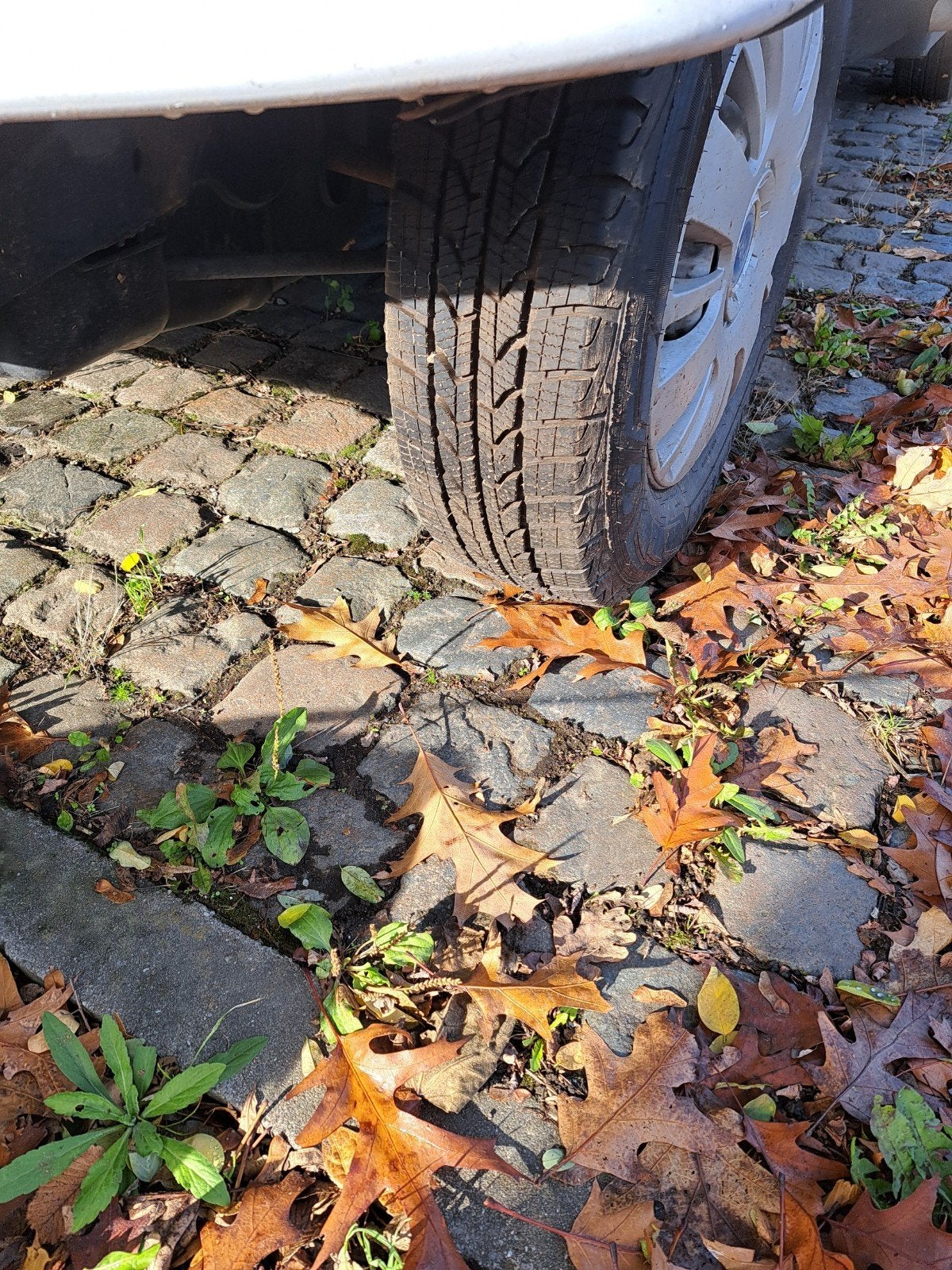 camper te koop, Caravans en Kamperen, Integraal, Caméra de recul, Fiat, Particulier