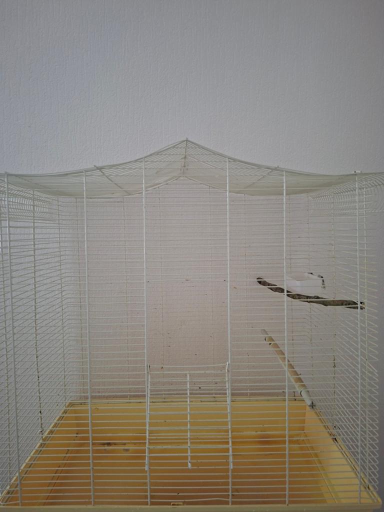 Vogelkooi, Dieren en Toebehoren, Ophalen