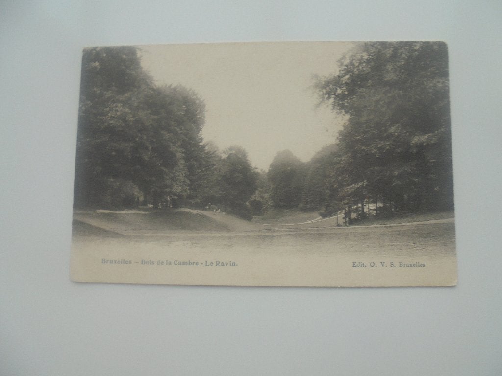 bruxelles- bois de la cambre - le ravin, Envoi, Avant 1920, Affranchie, Bruxelles (Capitale)