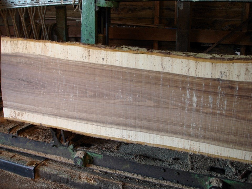 Noten-Peren-Kersen-Pruimen-Kastanje-Linde-Es-Esdoorn-Acacia, Doe-het-zelf en Bouw, Hout en Planken, Ophalen, Nieuw, Plank, 50 mm of meer