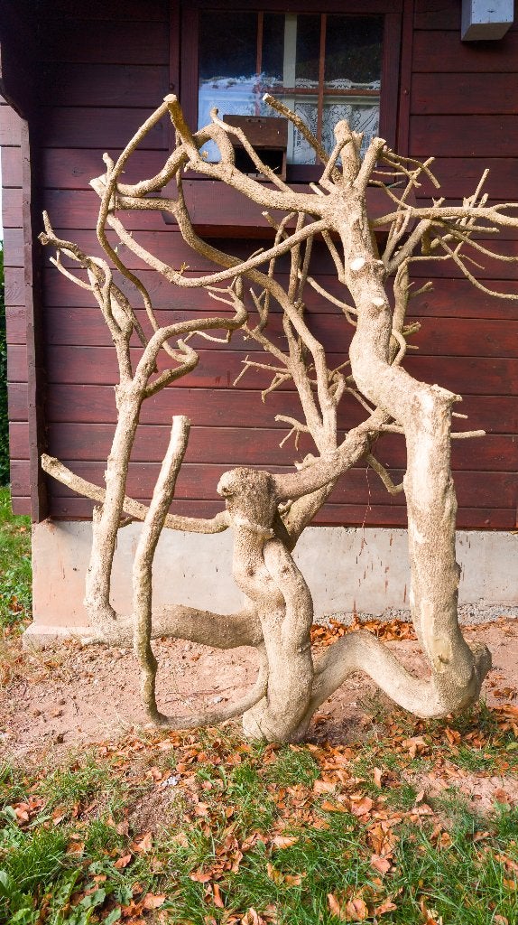 Sculpture naturelle en branche de buis, Vert, Abstrait, Bois, 1 mètre - 2 mètres