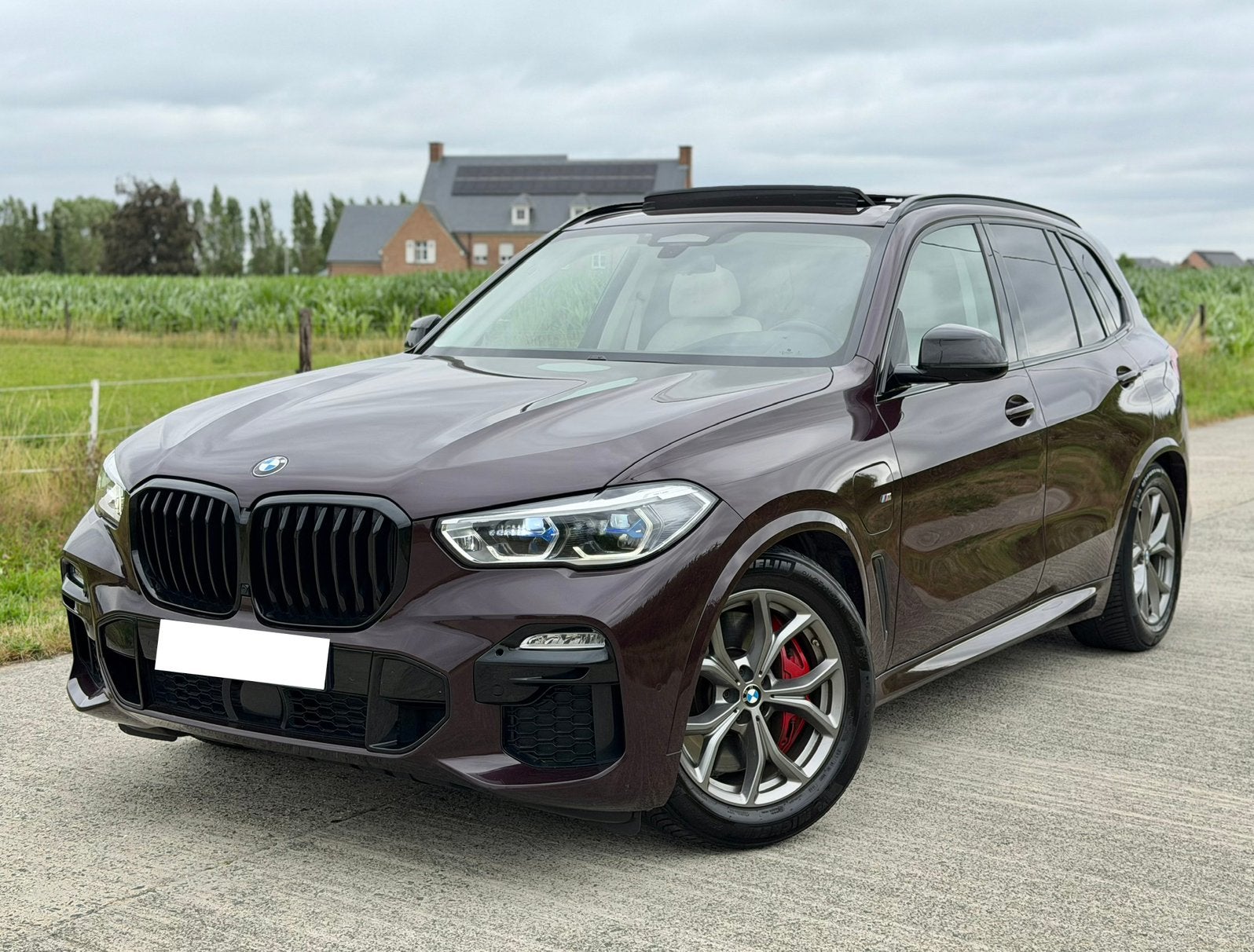 BMW X5 xDrive45e M Sport Individ. | Sky Lounge | Laser | BTW, Automaat, Dealer onderhouden, Leder, 5 zetels