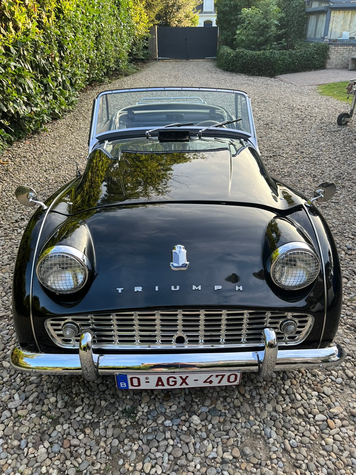tr3 1960 gereviseeerd, Particulier, Te koop