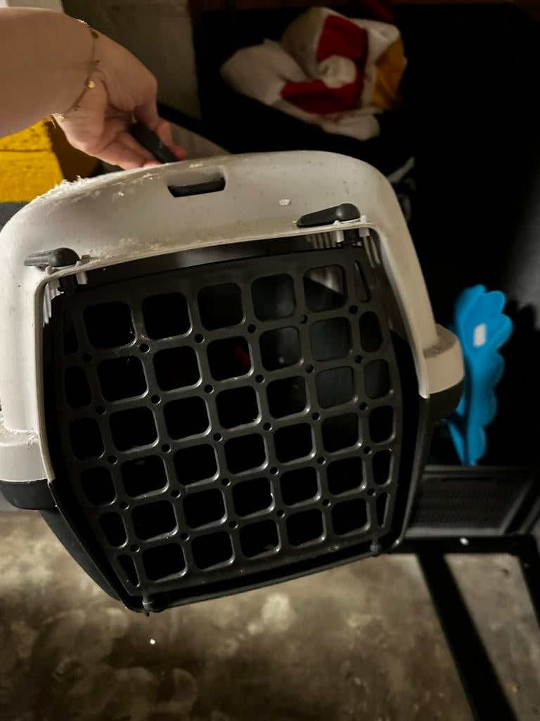 Cage transport, Animaux & Accessoires, Enlèvement, Comme neuf