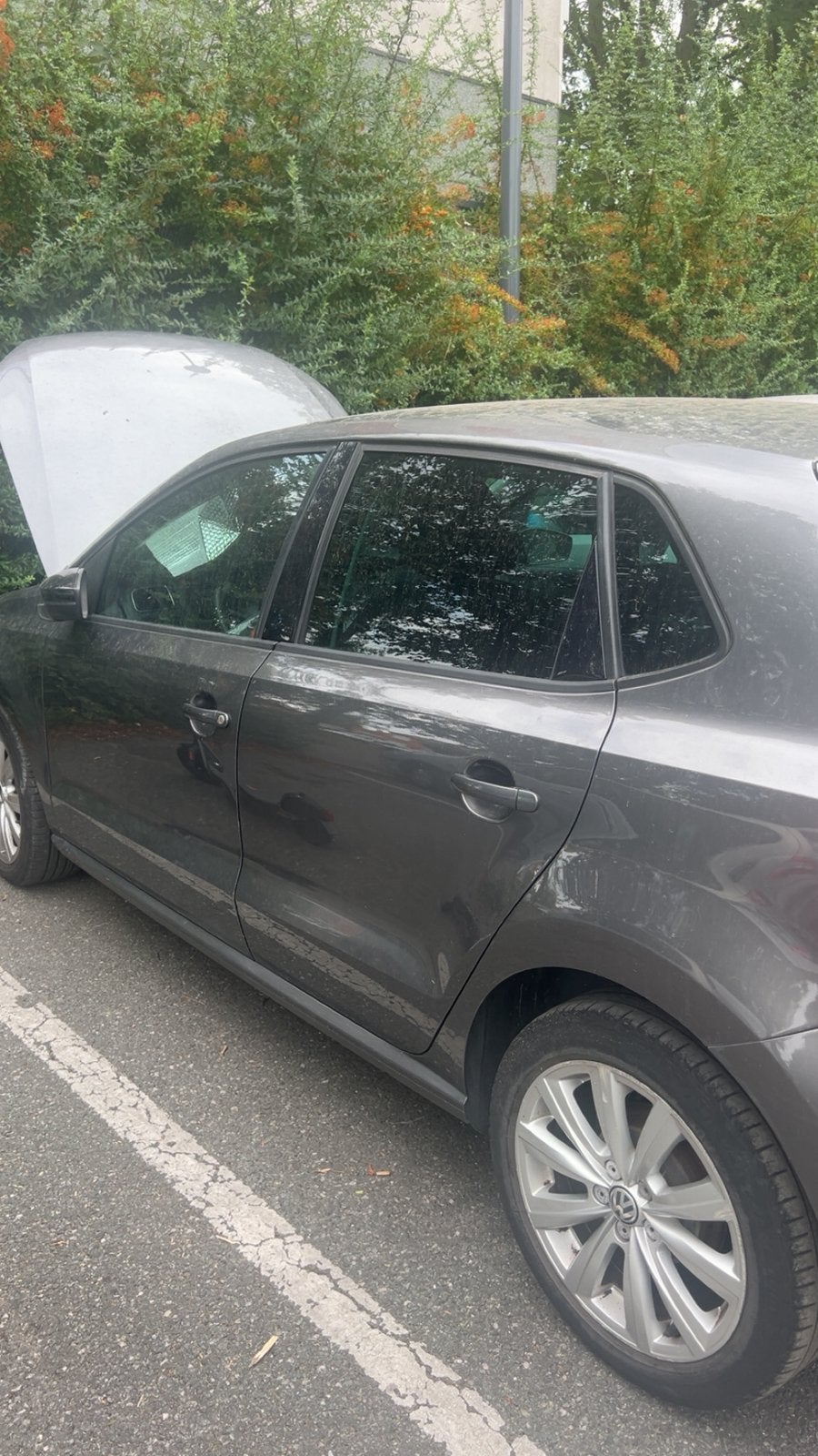 Polo 5, Autos, Achat, 5 portes, Particulier, 3 cylindres