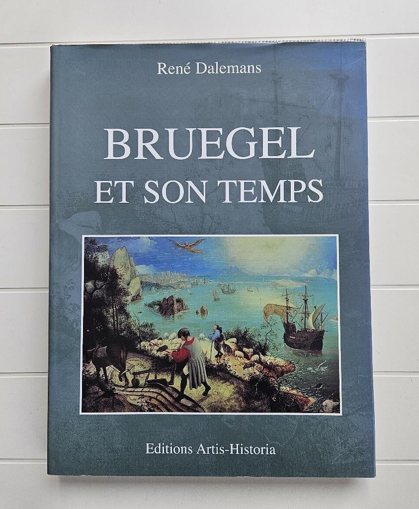 Bruegel en zijn tijd, Boeken, Ophalen of Verzenden, Gelezen, René Dalemans