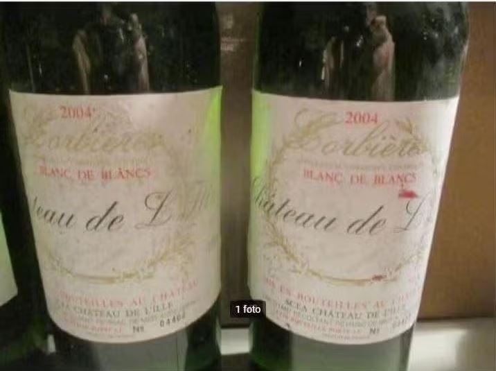 2 bouteilles de Château de L Ille - Blanc de Blanc - 2004, Collections, Enlèvement ou Envoi, Pleine, Comme neuf, Vin blanc