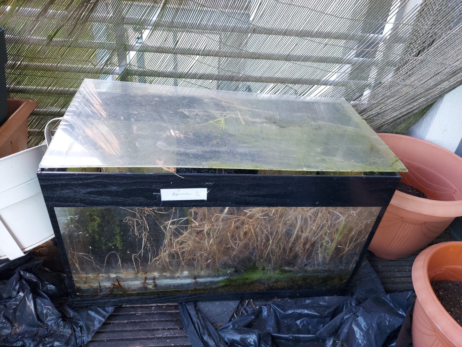 aquarium 60 litres a donner, Animaux & Accessoires, Enlèvement