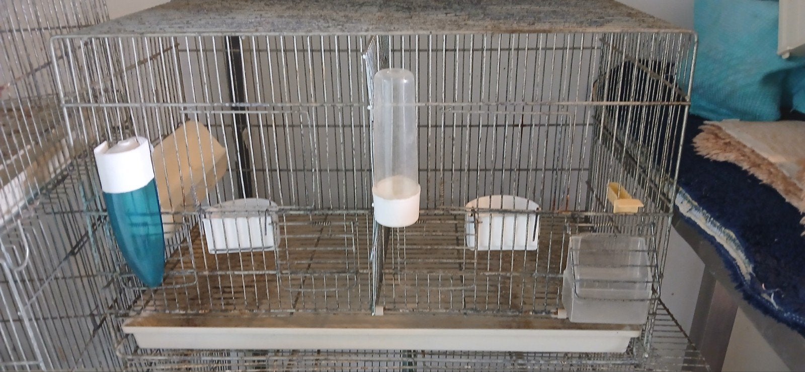 cage oiseaux, Animaux & Accessoires, Oiseaux | Cages & Volières