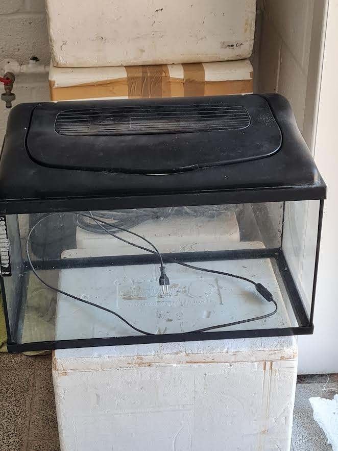 2 aquariums identiques, Animaux & Accessoires, Poissons | Aquariums & Accessoires, Enlèvement